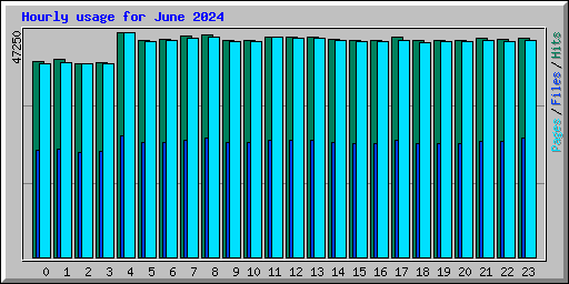 Hourly usage for June 2024