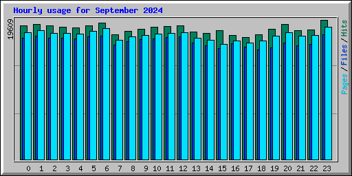 Hourly usage for September 2024