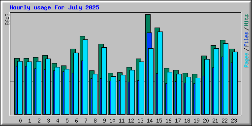 Hourly usage for July 2025