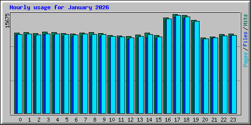 Hourly usage for January 2026
